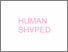 [thumbnail of Laurence Figgis, 'Human Shaped,' 2016 (exhibition flyer)]