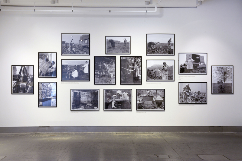 Installation shot, 'Observing Women at Work: Franki Raffles', Reid Gallery, The Glasgow School of Art Photo: Alan Dimmick