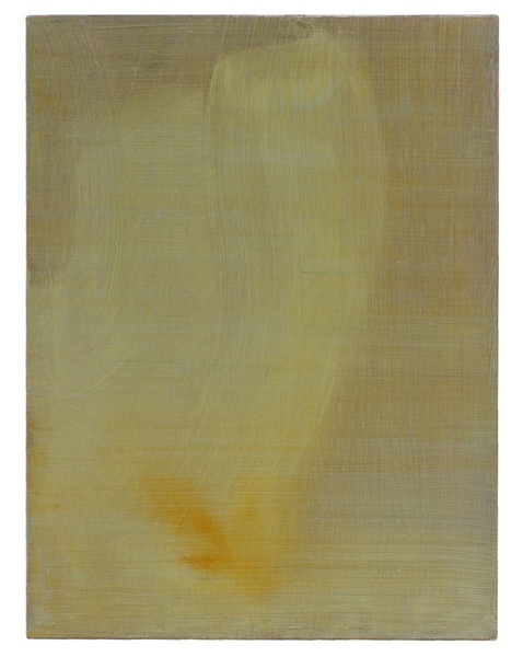 Transient Luminous