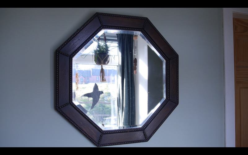 Screenshot from 'Reflections on family portrait with self-portrait'.