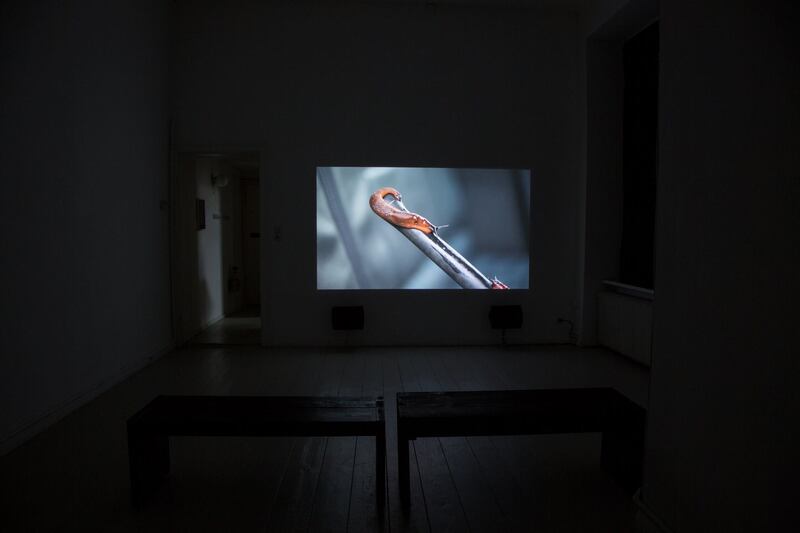 Human Machine Interface