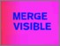 [thumbnail of Merge-Visible-e-catalogue.pdf]