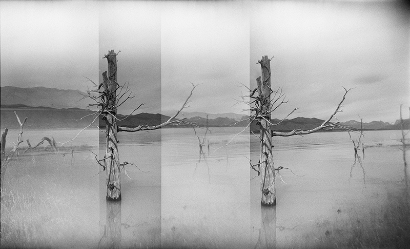 silver gelatin print
