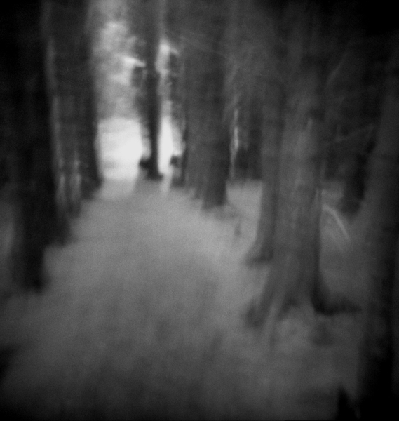 silver gelatin print