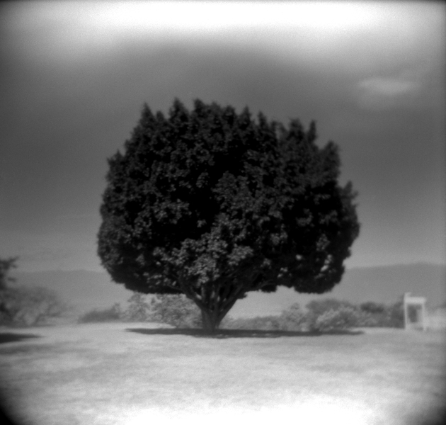 silver gelatin print