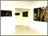 [thumbnail of Exhibtion View 1.jpg]