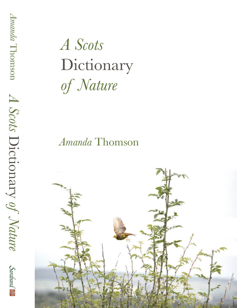 Hardback edition