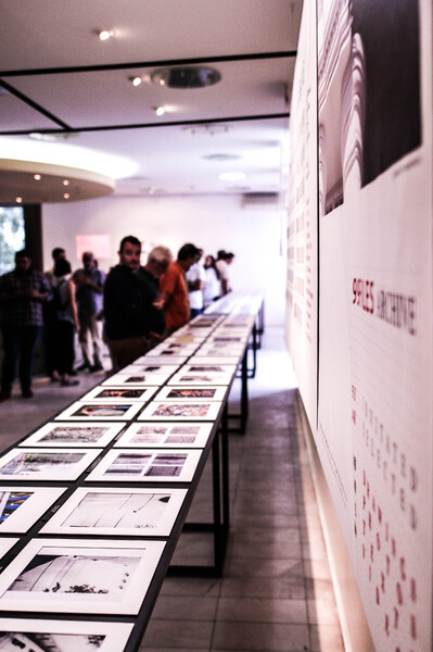 http://landscapeinprogress.unirc.it/99files-exhibition/