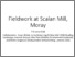 [thumbnail of Scalan visuals for RADAR.pdf]