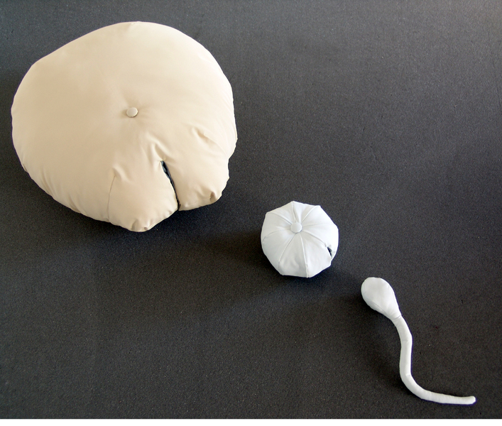 Educational Dolls