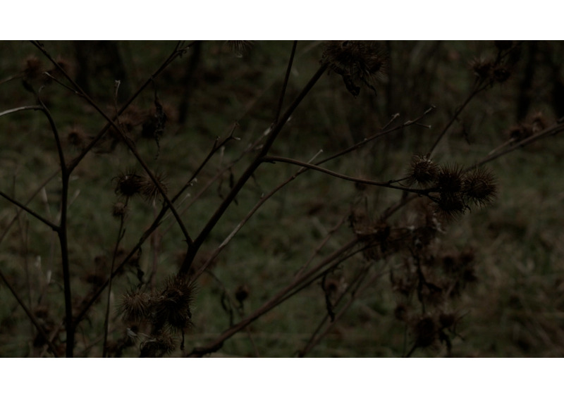 film still - a darkening 1