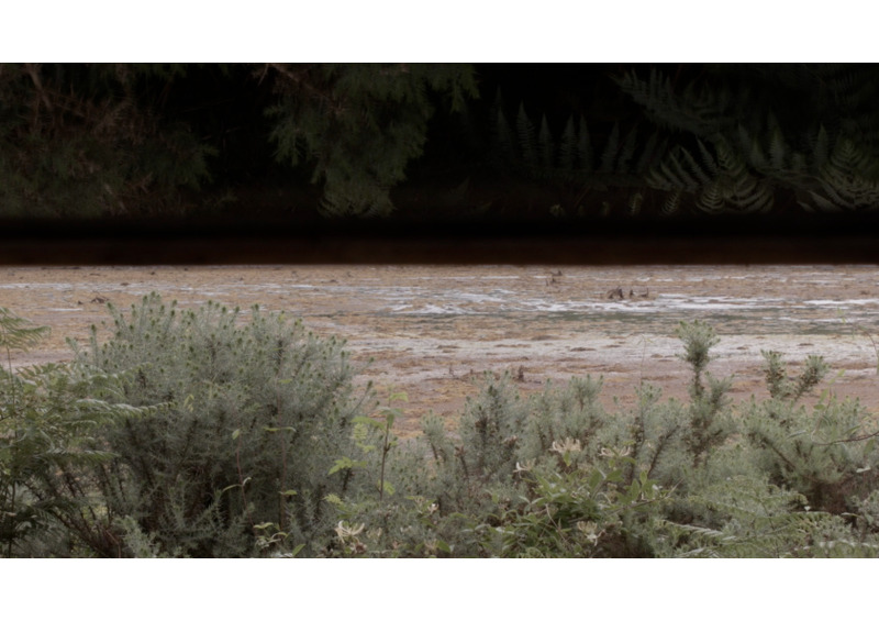 film still - the hide 6