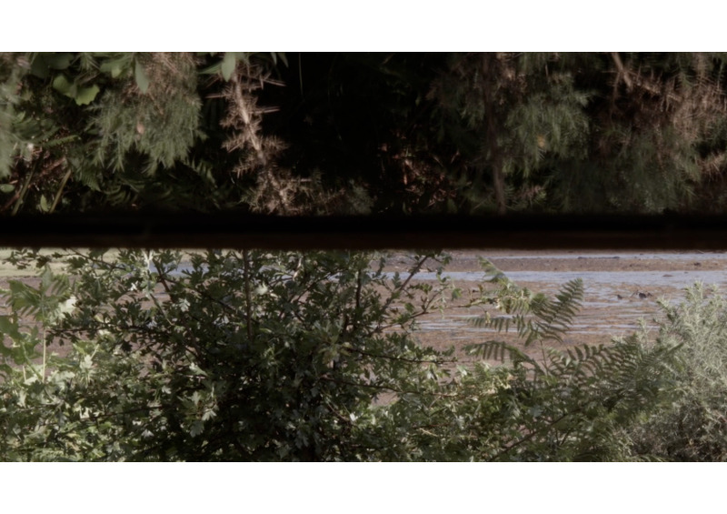 film still - the hide 9