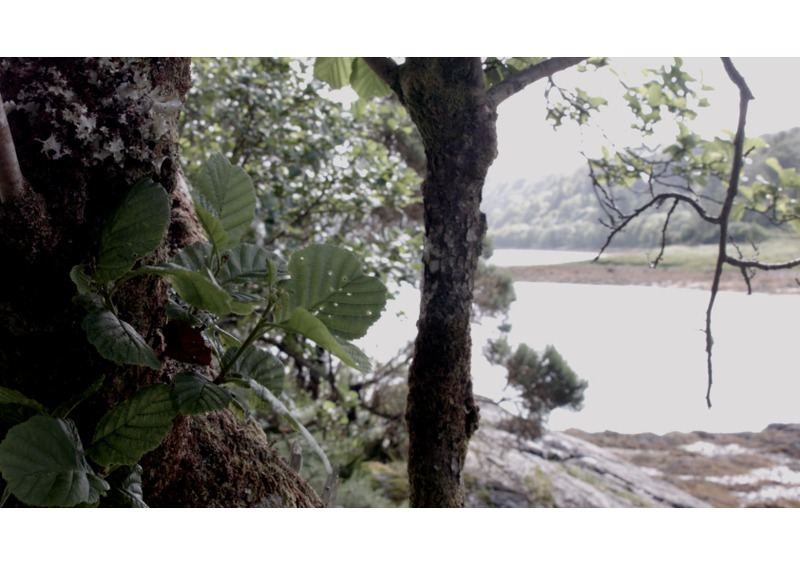 film still - the hide 10