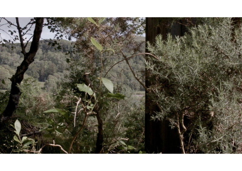 film still - the hide 11