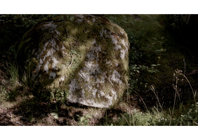 film still - the hide 12