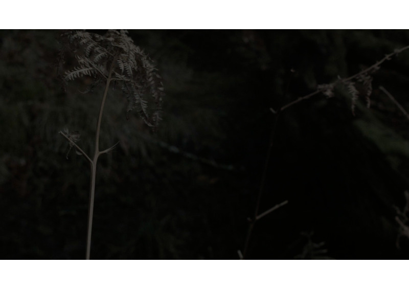 film still - a darkening 3