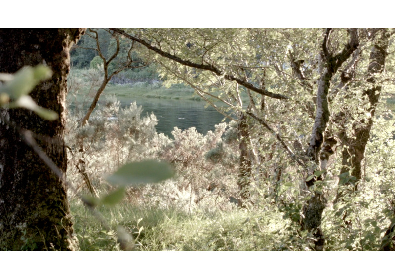 film still - the hide 1