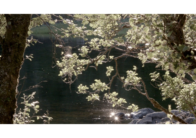 film still - the hide 2