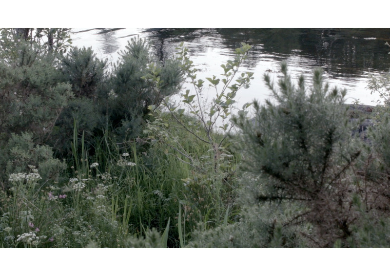 film still - the hide 3
