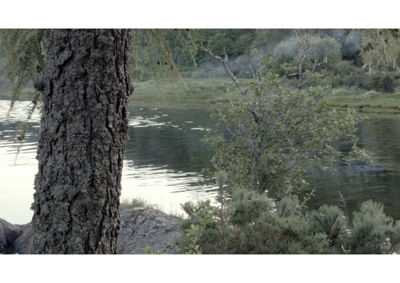 film still - the hide 5