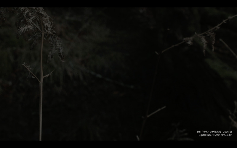 "Last Light, First light" and related works