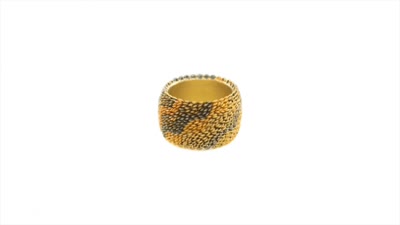 Lenticular Ring animation - 14.5 x 23mm - 18ct yellow, red and white gold, platinum and oxidised silver.- 2019 - photography Graham Clark
