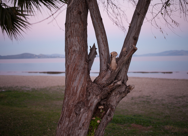 Chalkis