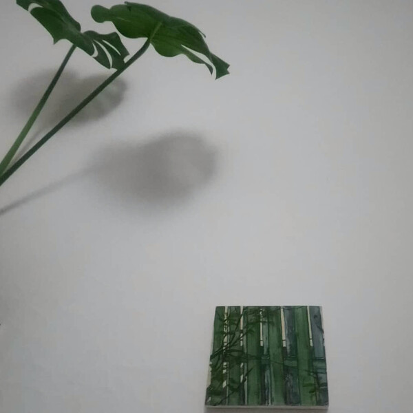 Apples and Pears Gallery_
Boundary Lines [solo exhibition] (Barnsley)_
Domestic Set Up [curated exhibition] (Glasgow)