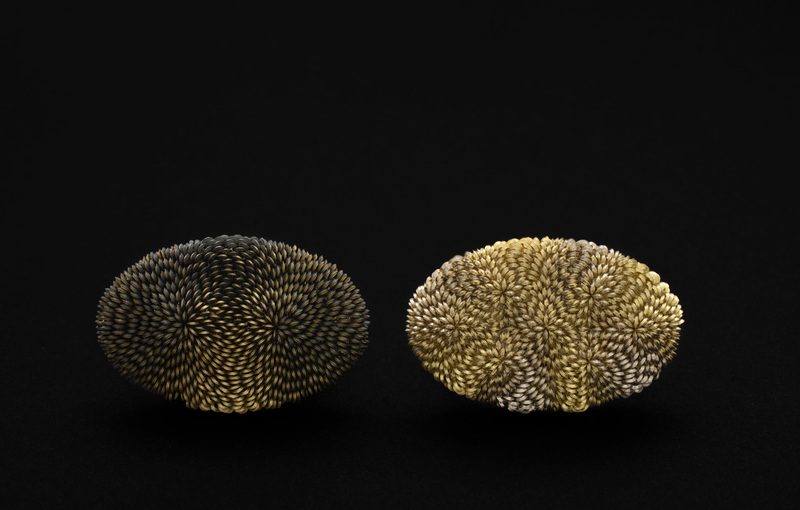 Tesla I & II Lenticular Series Rings 2019 - Image Graham Clark