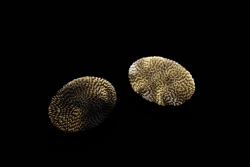 Tesla I & II Lenticular Series Rings - Image Graham Clark