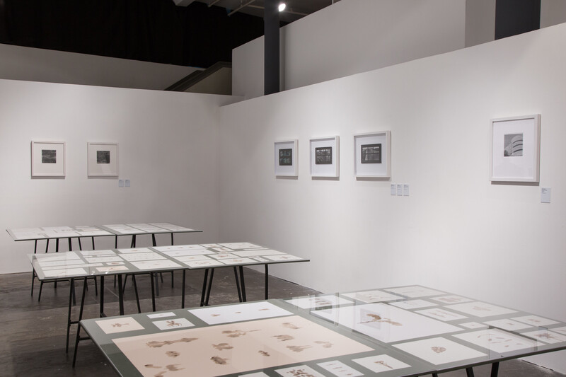 Exhibition view (work)