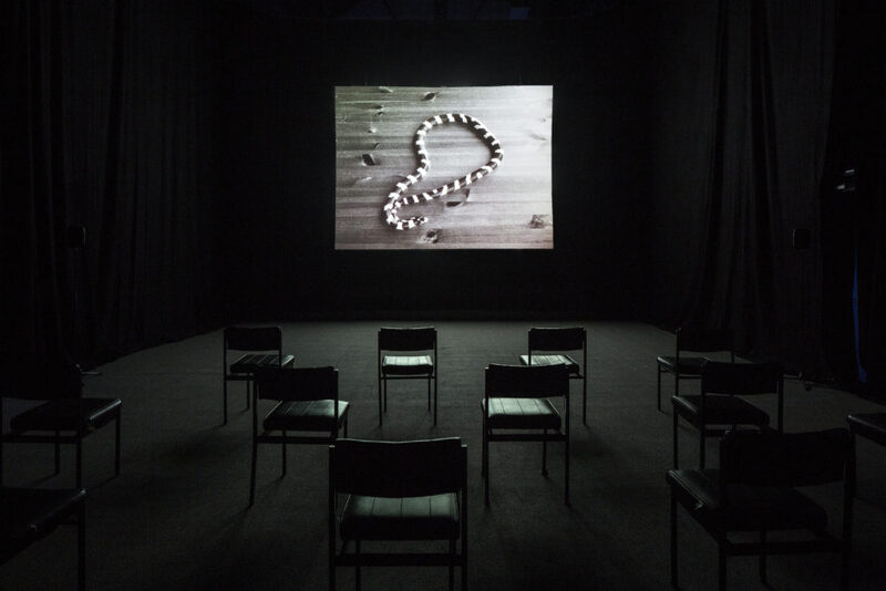 Circle [solo exhibition]