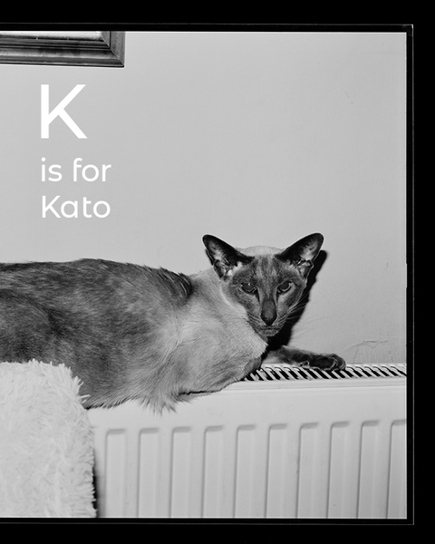 K is for Kato, an Esperanto Alphabet book