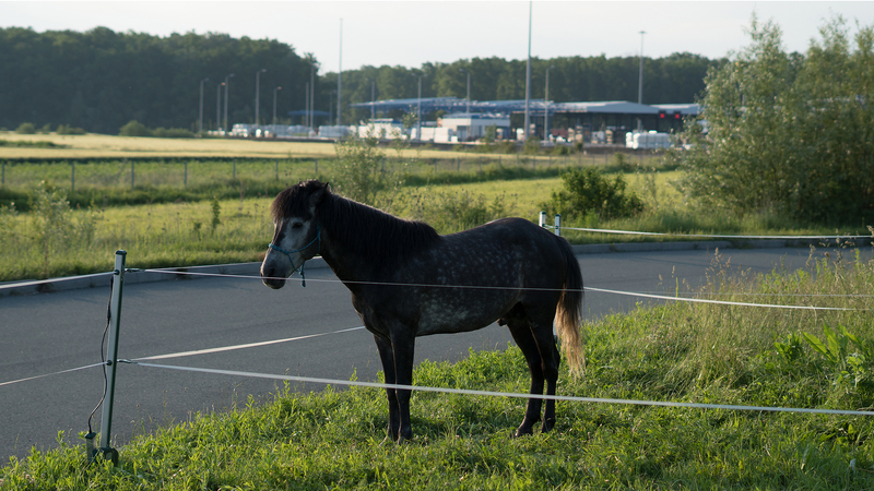 The Athens-Kassel Ride: The Transit of Hermes (d14)
