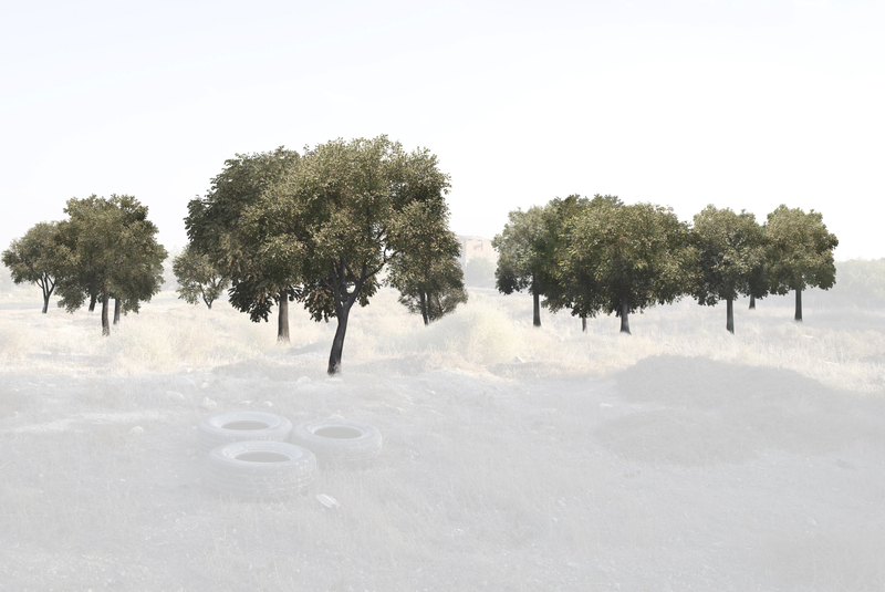 Ayios Sozomenos – trees