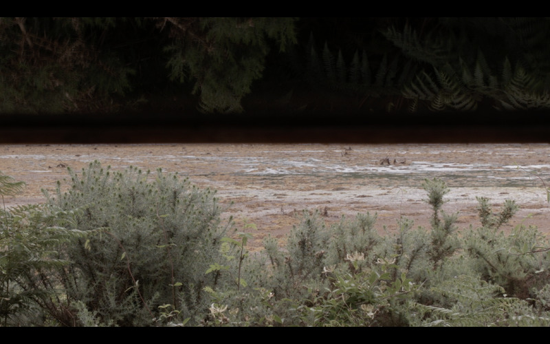 Various works shown in "Sharing a View: Contemporary Art from Glasgow"