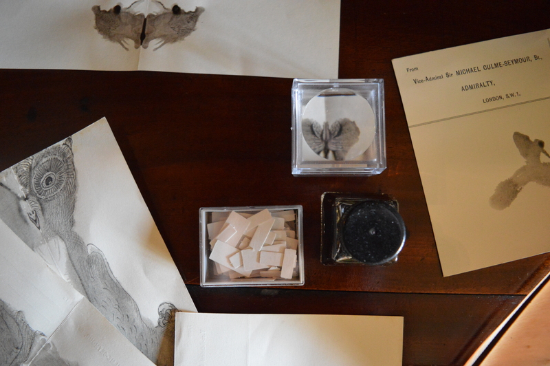 Installation detail:  Owl