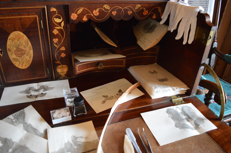 drawers detail