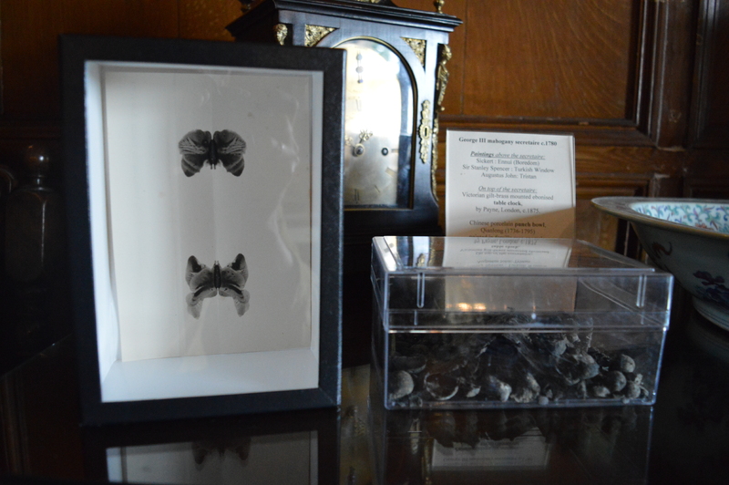 Butterflies and ink residue