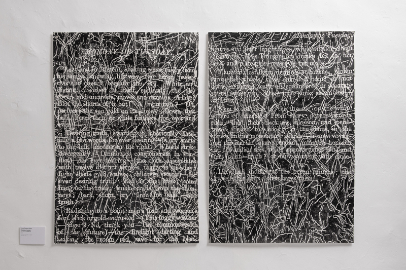 Image 2: Monday or Tuesday / an hour in long grass, Anna Chapman Parker. Photography: Christopher Morrison
