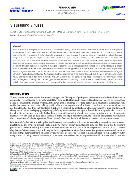 Visualising Viruses