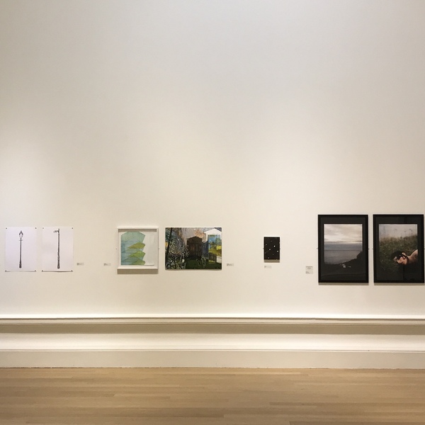 Yellow Belly [in the Society of Scottish Artists' 123rd Annual Exhibition at the Royal Scottish Academy, Edinburgh]