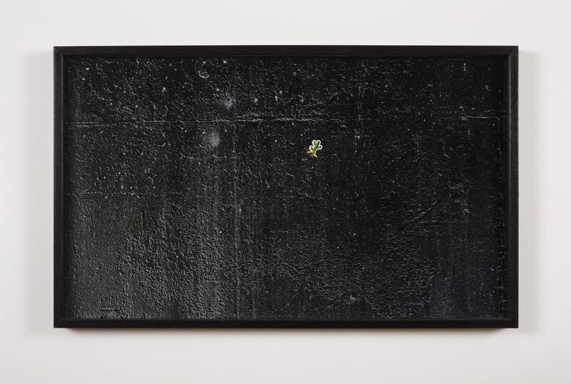 Screen Used