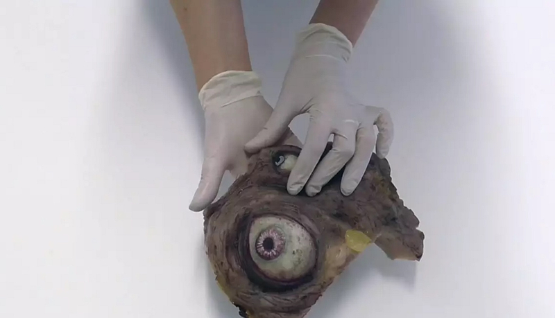 Screen Used (10 mins, 2016)