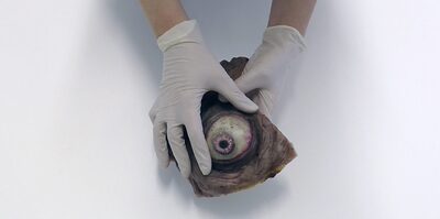 Screen Used (10 mins, 2016)