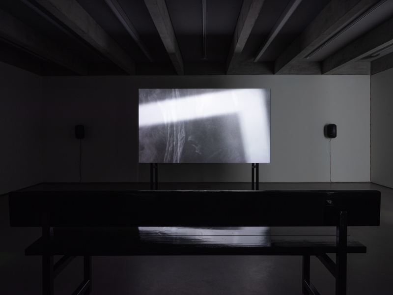 Mercury, 2021,exhibition detail, photograph by Tom Nolan