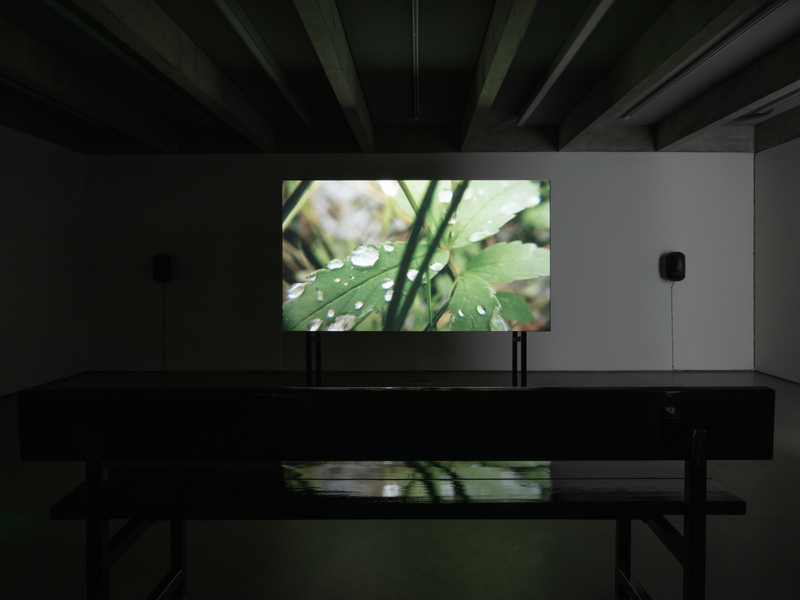 Mercury, 2021,exhibition detail, photograph by Tom Nolan