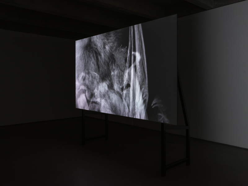 Mercury, 2021,exhibition detail, photograph by Tom Nolan