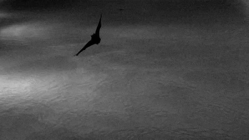 Mercury, 2021, film still